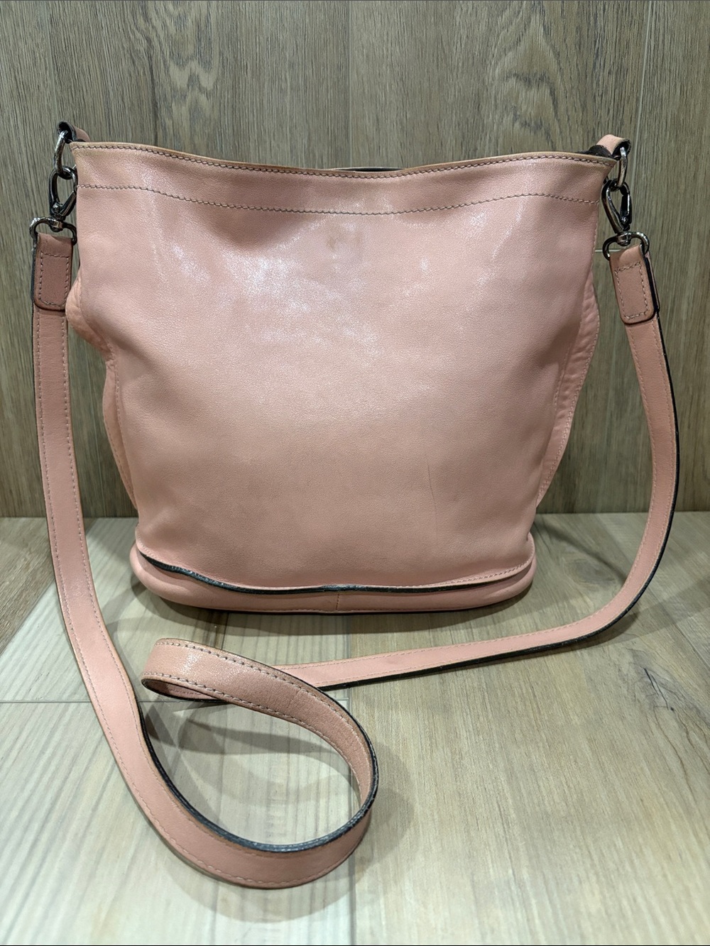 Longchamp Paris Mauritius Dusty Pink Mauve 3D Leather Crossbody Shoulder Hobo - Picture 3 of 14